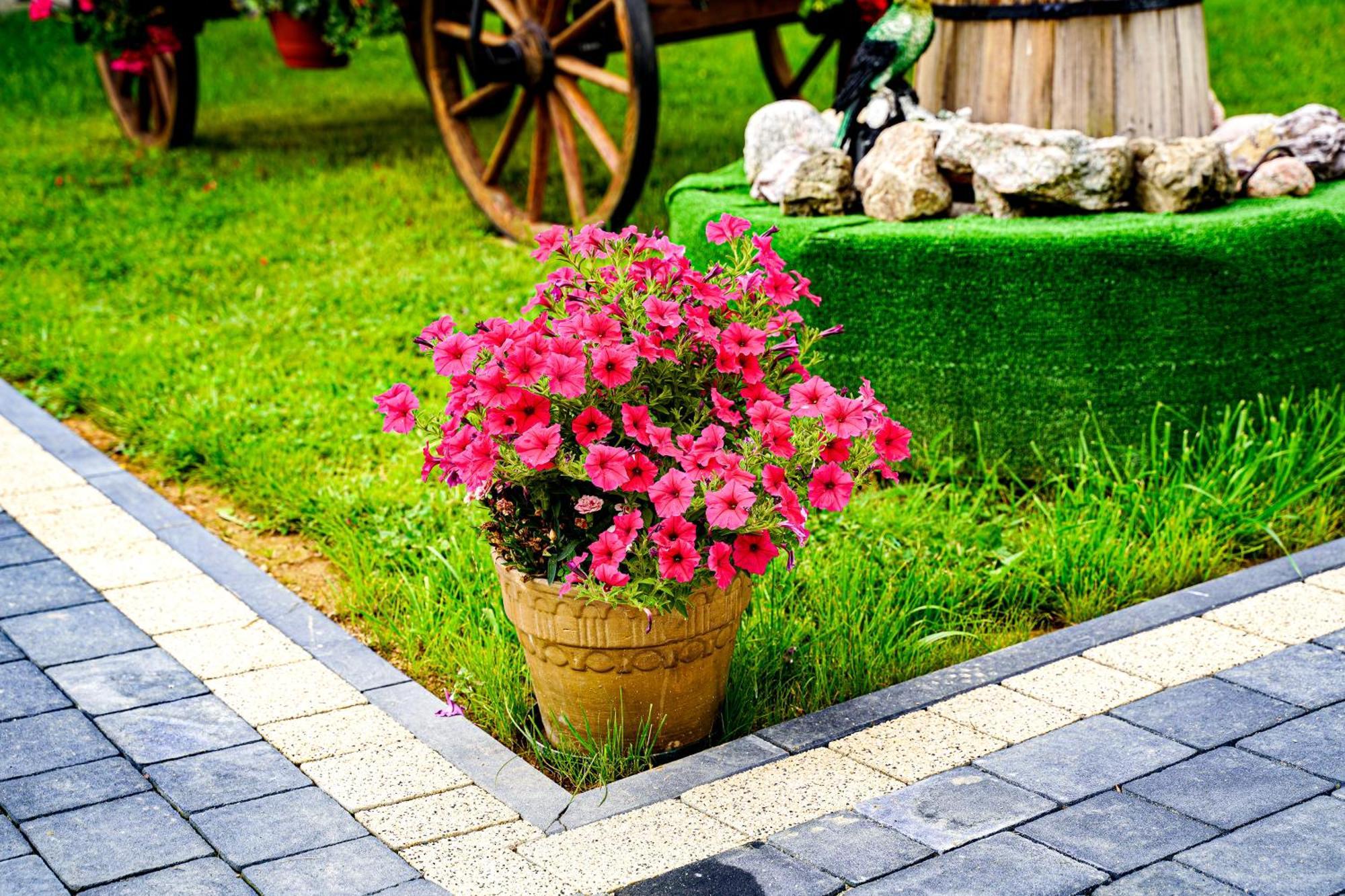 Gosciniec Kukulka Z Jacuzzi Bed and Breakfast Ζακοπάνε Εξωτερικό φωτογραφία